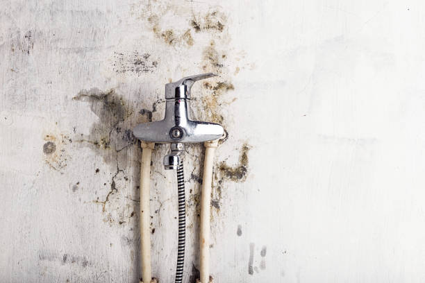 Best Water Damage Restoration  in Tok, AK
