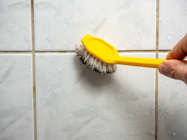Best Residential Mold Removal  in Tok, AK