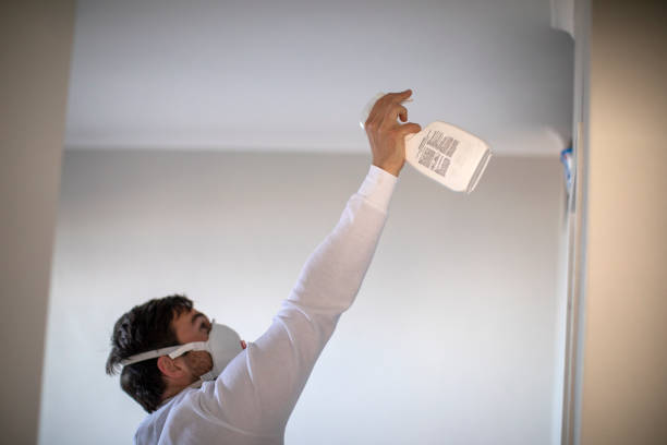 Best Toxic Mold Removal  in Tok, AK